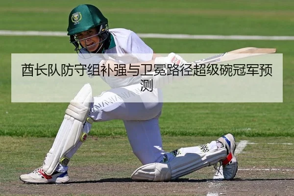 酋长队防守组补强与卫冕路径超级碗冠军预测